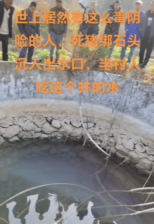hga030.com Mobile Login_村庄水井内发现被绑石头死猪hga030.com Mobile Login，“一半村民饮用水源”，广西荔浦警方介入