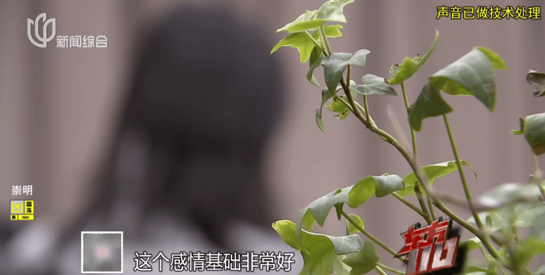 Crown Sports Registration _上海主妇在家遇害Crown Sports Registration ，终于破案！凶手竟假扮丈夫领导，看了《东方110》后慌了