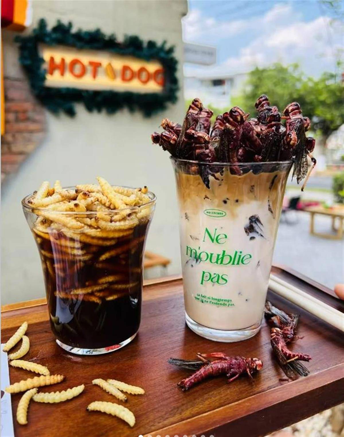 皇冠信用网代理申请_云南一咖啡店推出蚂蚱拿铁皇冠信用网代理申请，店家称卖得不错，顾客：云南人，只打巅峰赛