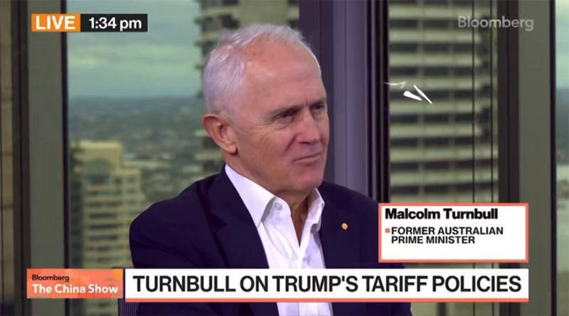 皇冠信用网开号_澳大利亚前总理特恩布尔：难道要去白宫排队给恶霸拍马屁皇冠信用网开号？这只会更受欺凌