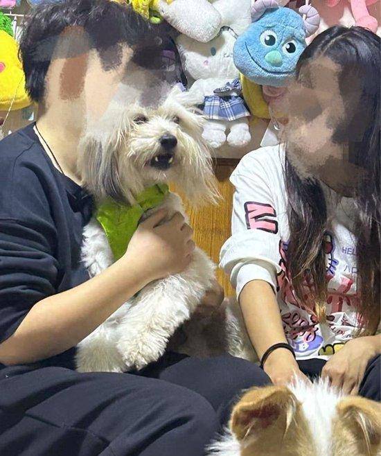 皇冠信用网登2代理_24岁女舞蹈老师骑电动车直行皇冠信用网登2代理，被校车追尾辗轧不幸身亡