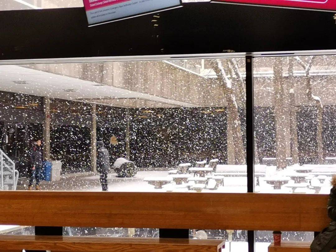 皇冠登3管理出租_父母卖房凑数十万学费皇冠登3管理出租，女孩在加拿大留学一年后退学回国自考专科