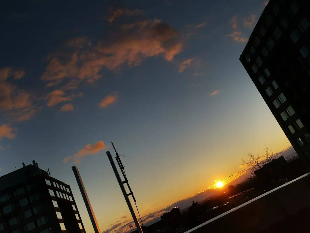 皇冠登3管理出租_父母卖房凑数十万学费皇冠登3管理出租，女孩在加拿大留学一年后退学回国自考专科