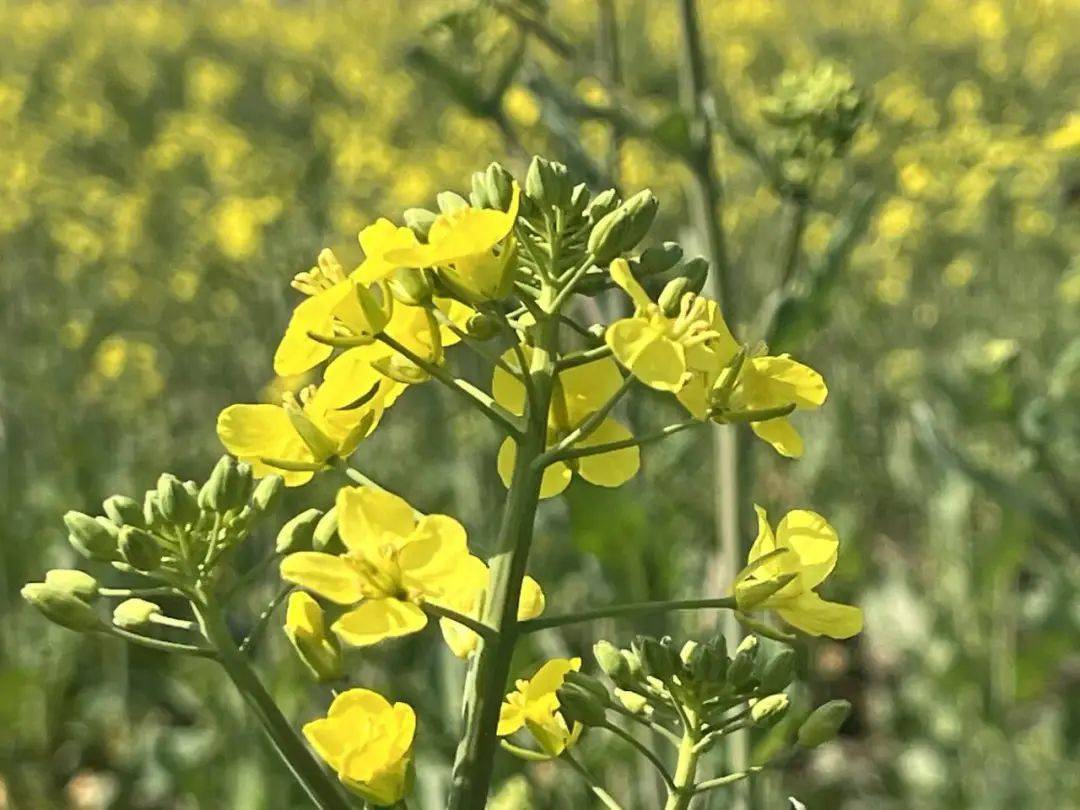 信用平台出租_暴降25℃信用平台出租！刚刚确认：杭州大反转！从这天开始......