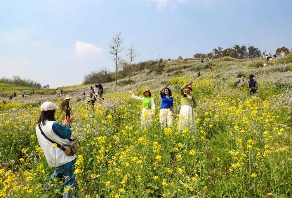 皇冠信用網怎么开账号_“气温过山车”！明天重庆最高33℃皇冠信用網怎么开账号，后天雷雨+大风