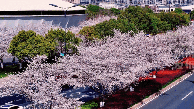 皇冠信用網占成代理_最新确认：今夜抵达杭州皇冠信用網占成代理！断崖式暴跌！下暴雨、冰雹、强雷电……