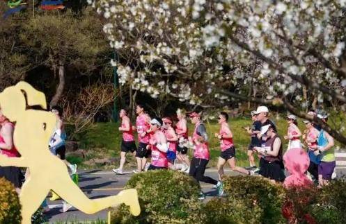 皇冠信用网出租_马拉松职业“私兔”最高月入4万 从熟人搭子到有偿服务