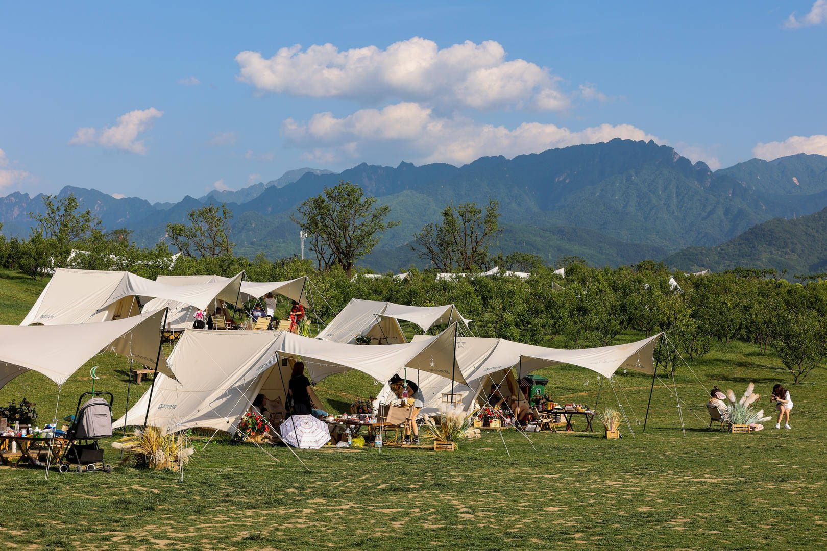 皇冠信用网会员开户_原价499元的天幕现在卖148元皇冠信用网会员开户，二手平台现露营装备低价甩卖