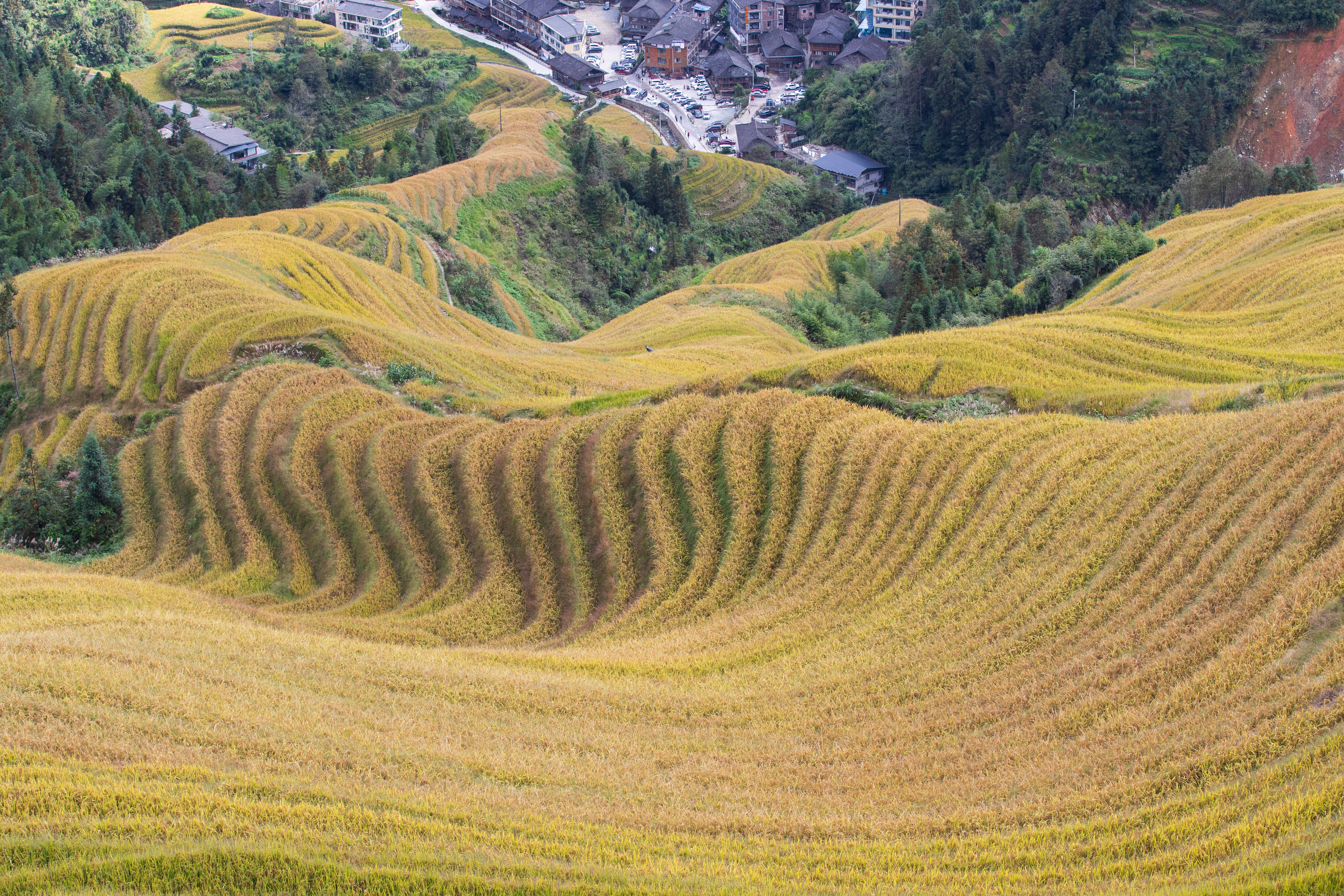 皇冠信用网如何注册_别样中国｜山水桂林皇冠信用网如何注册，天下无双