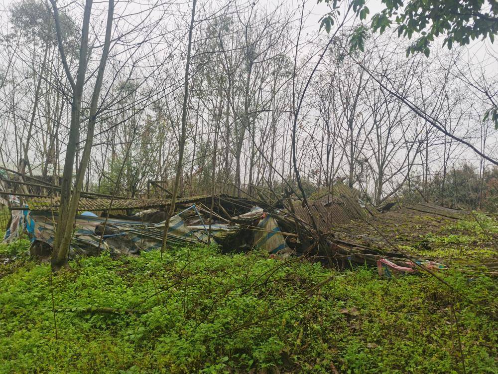 皇冠信用網开户_街道办违法强拆120亩鱼塘皇冠信用網开户，致37万斤鱼损失被判赔380万，回应称无赔付能力可法拍资产抵债