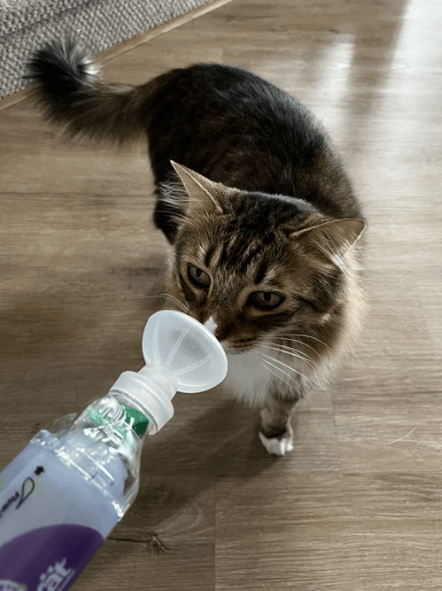 信用網如何申请_美国人开启疯狂囤货模式信用網如何申请，“中国电视被买空”