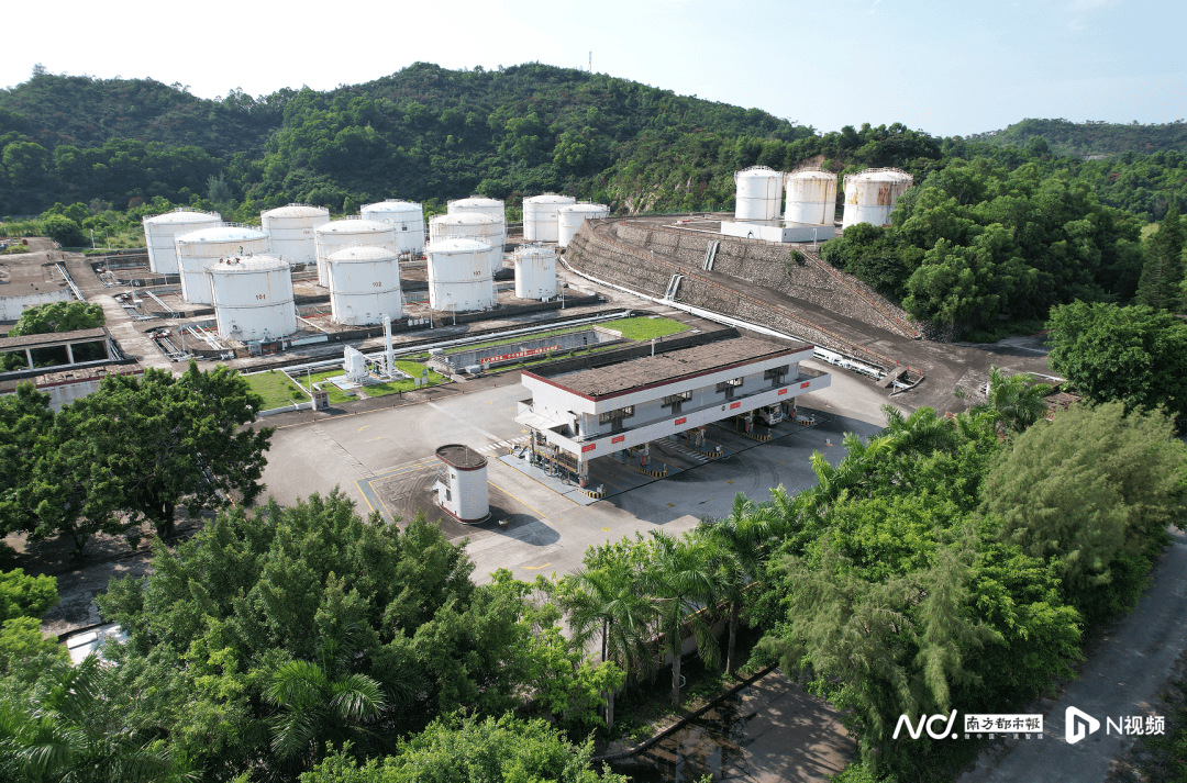 皇冠信用網占成代理_疯传“广东一学校闲置多年皇冠信用網占成代理，即将开学”，最新消息！