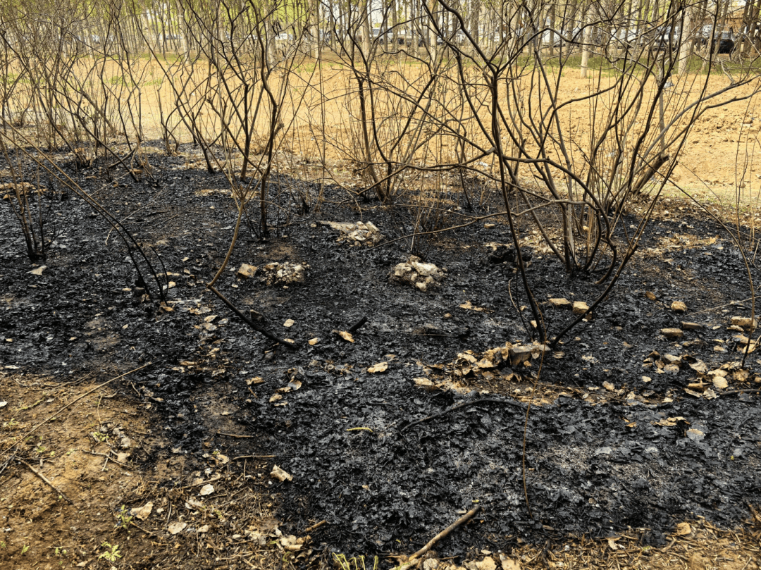 如何申请皇冠代理_手太欠！北京警方：林某某（18岁）如何申请皇冠代理，拘