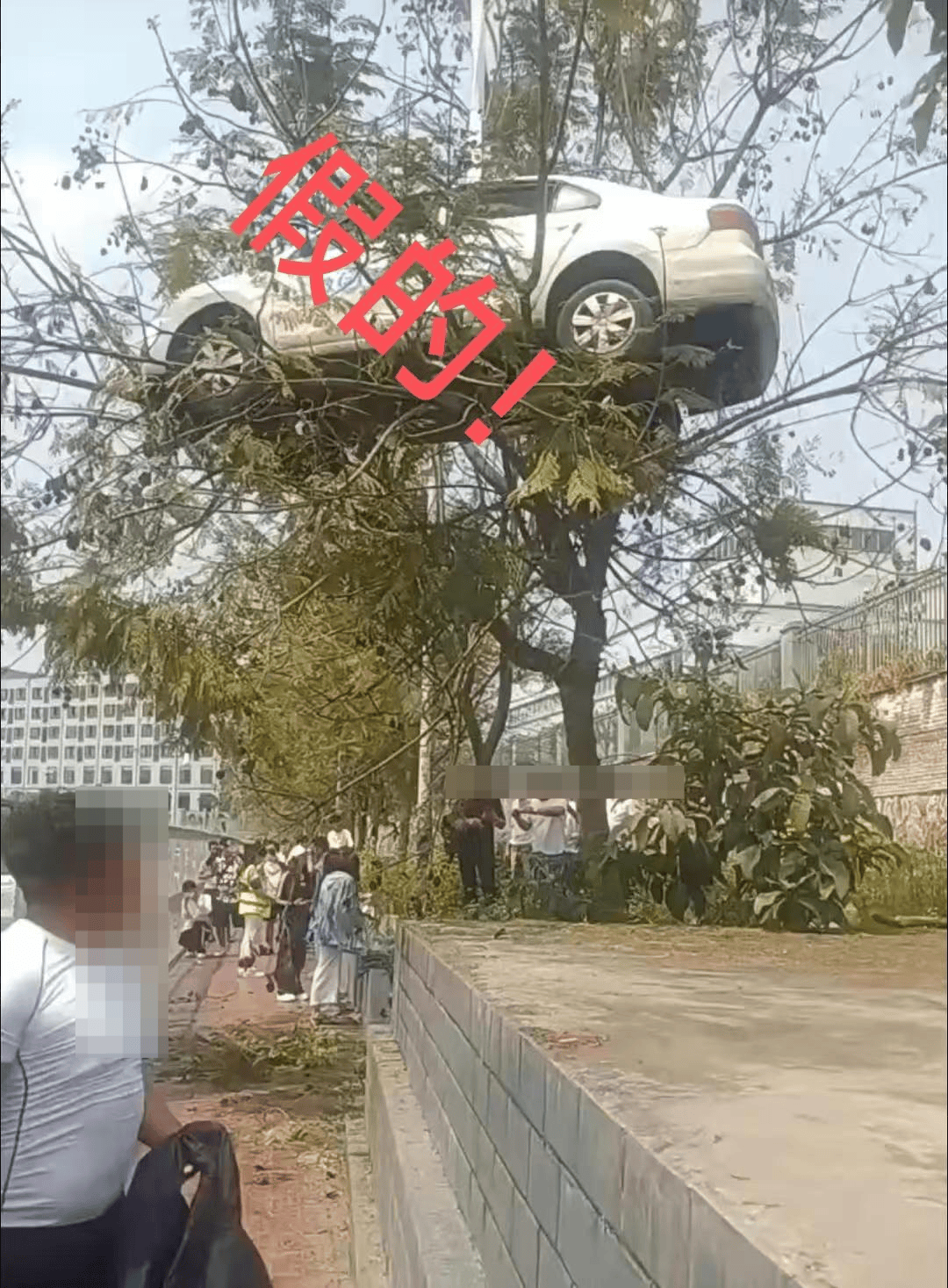 皇冠信用盘代理登3_大反转皇冠信用盘代理登3！竟然是假的！确认系摆拍