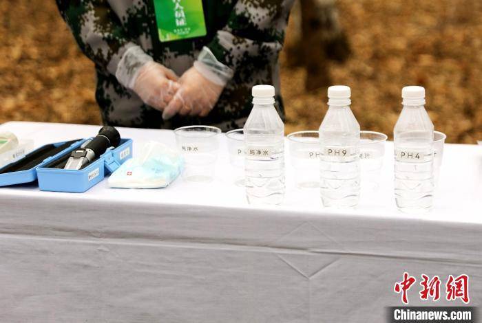 皇冠信用盘代理申请_黑龙江：今年预计采集20万吨桦树汁 带动林区增收超4亿元