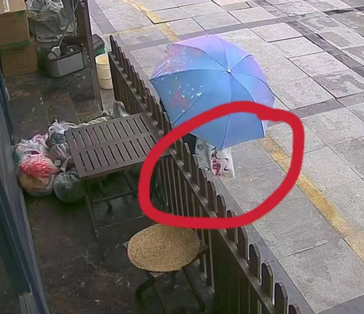 皇冠信用盘登0_又两只鸡没了！杭州小店老板娘崩溃：“顺”食材上瘾的这位阿姨皇冠信用盘登0，求求了