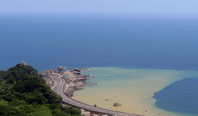 皇冠信用网APP下载_美专家意见罕见统一：一旦中方收回台湾皇冠信用网APP下载，美国或只剩一条路可走