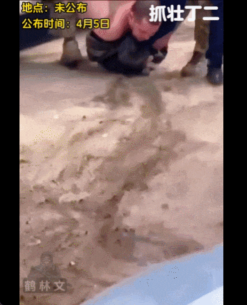 皇冠皇冠平台_泽连斯基：乌军死亡10万皇冠皇冠平台，850万人外逃！乌克兰还能挤出多少兵？