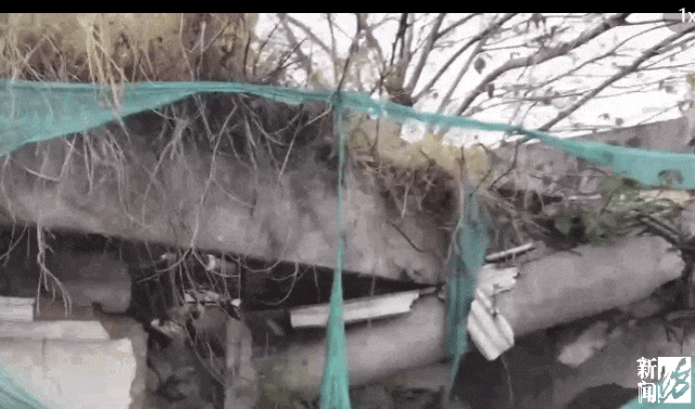 hga035会员注册_存在8年无法去除hga035会员注册！沪一小区居民犯愁：阵阵恶臭……怎么办？