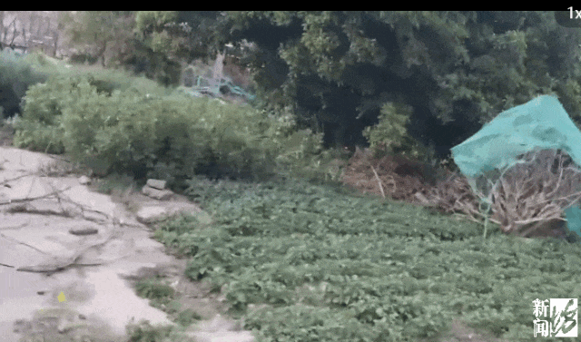 hga035会员注册_存在8年无法去除hga035会员注册！沪一小区居民犯愁：阵阵恶臭……怎么办？