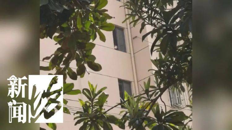 皇冠信用盘代理_被折磨到崩溃！上海一九旬老太每天定时“输出”皇冠信用盘代理，邻居被迫“魔法打魔法”