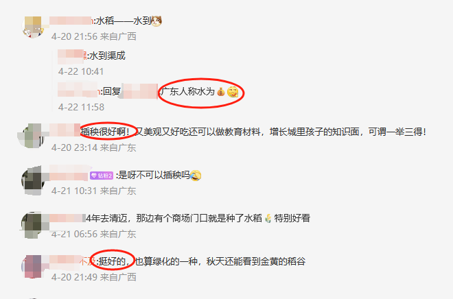 皇冠信用登2代理网址_谁种的？东莞闹市区绿化带惊现水稻皇冠信用登2代理网址，网友化身福尔摩斯来探案，家居广场：商户提的建议