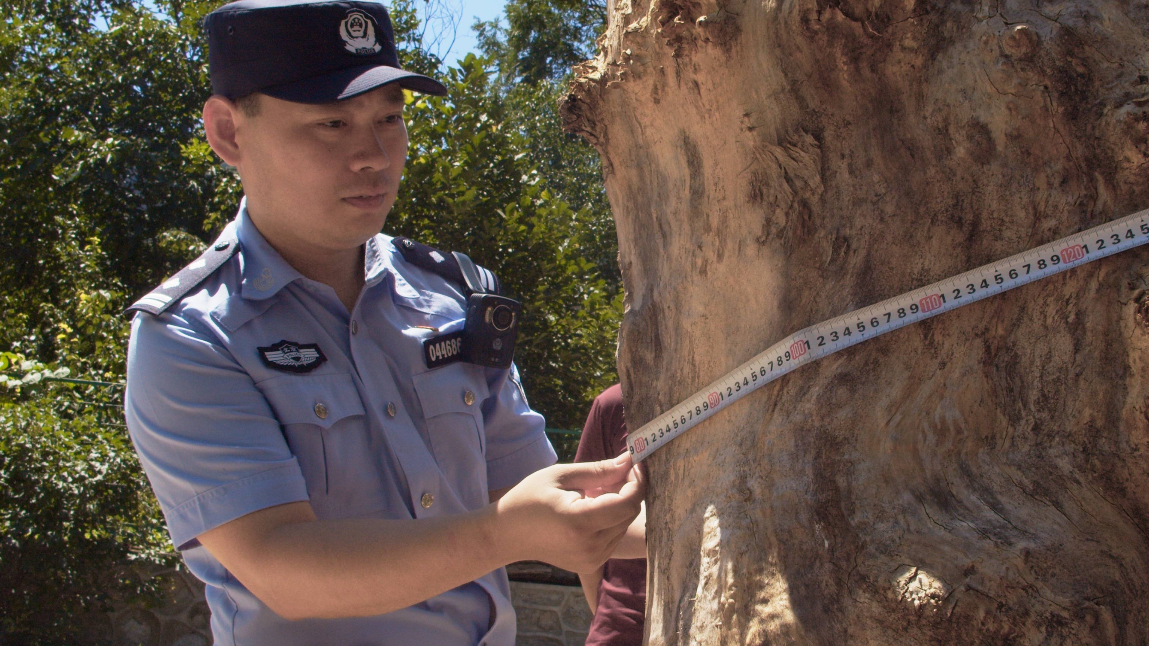 皇冠皇冠足球平台_森林警察韩孟祺：乔装成驴友潜伏密林中皇冠皇冠足球平台，抓获“粘鸟”嫌疑人