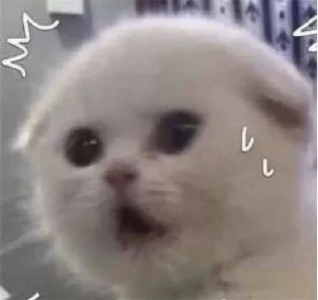 皇冠信用盘会员开户申请_事关《哪吒2》票房皇冠信用盘会员开户申请，上海开出罚单！影迷怒了："背刺"的竟是自己人！