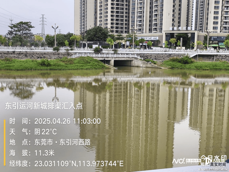 皇冠信用网哪里申请_东莞寒溪河出现大片死鱼皇冠信用网哪里申请！官方回应：天气原因