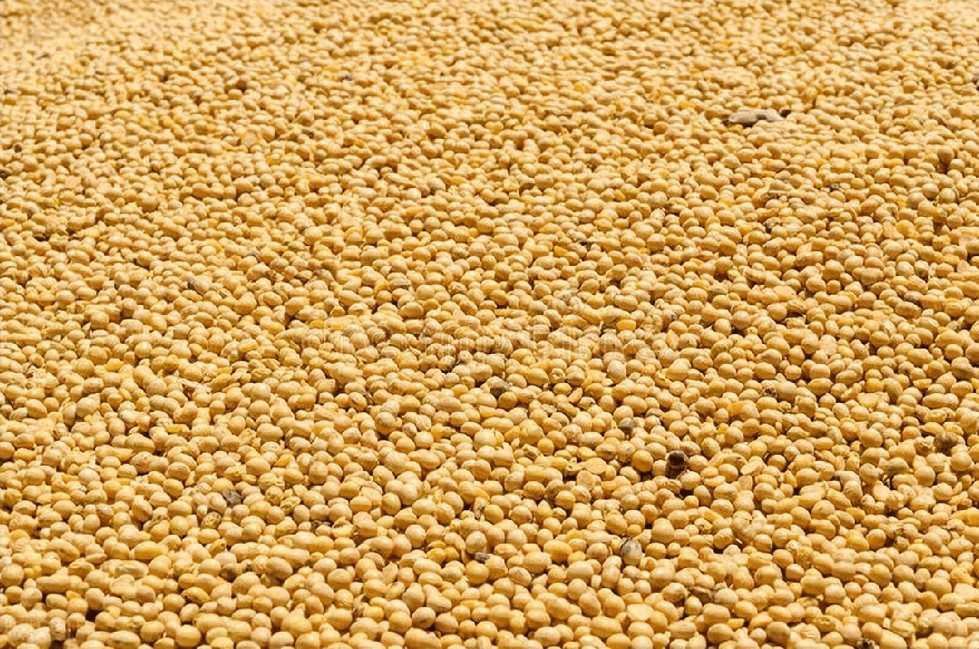 信用盘怎么注册_大快人心！美国人一觉醒来信用盘怎么注册，发现对华出口生意全被抢，特朗普慌了