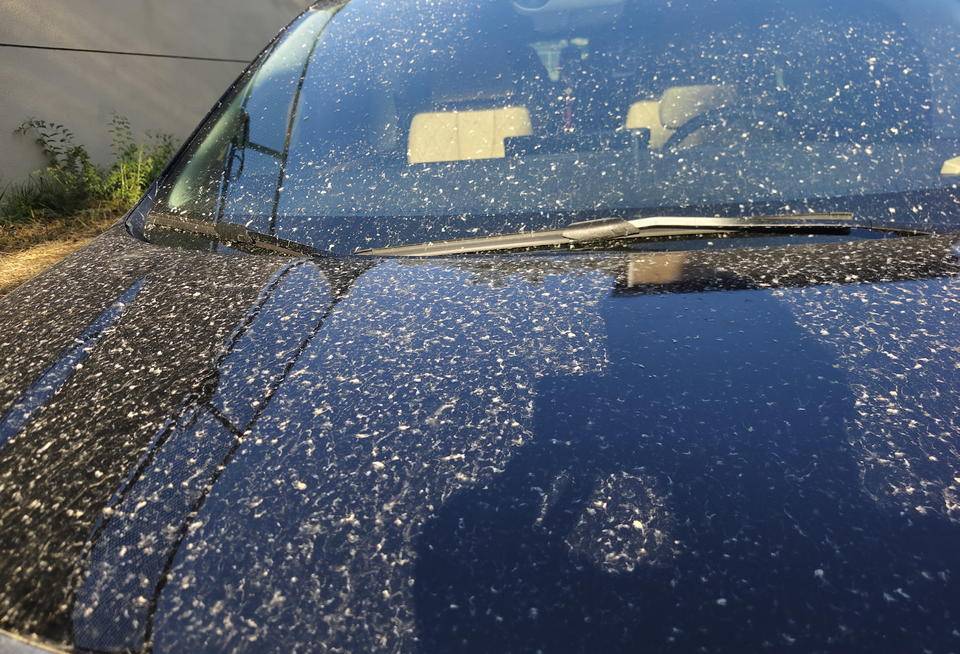 皇冠登一登二登三区别_昨晚这场暴风骤雨皇冠登一登二登三区别，让济南很多车辆变成“大花脸”