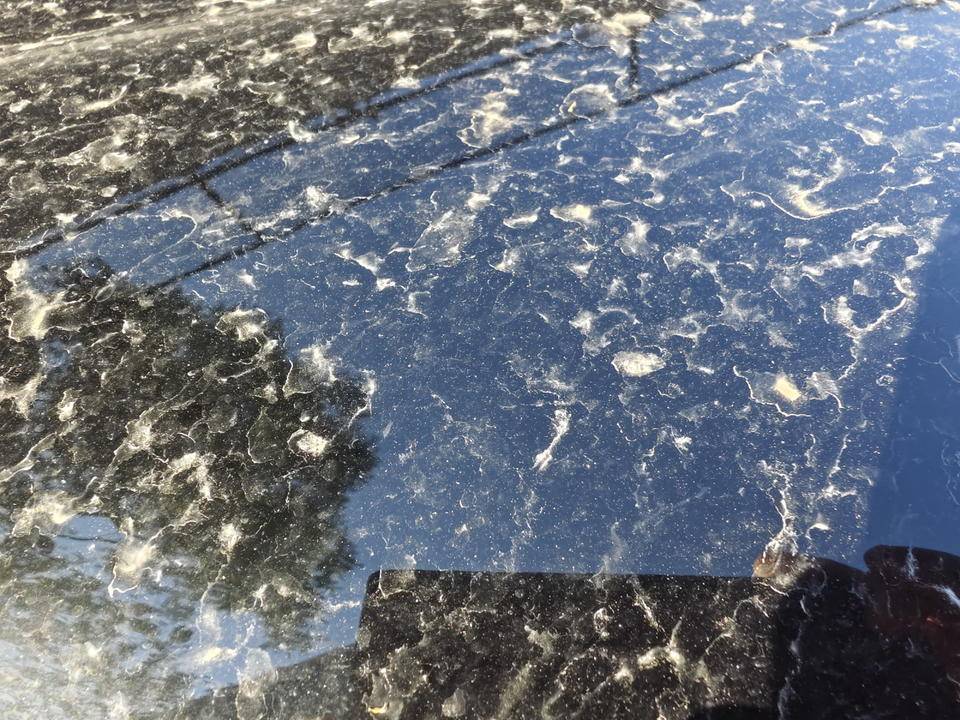 皇冠登一登二登三区别_昨晚这场暴风骤雨皇冠登一登二登三区别，让济南很多车辆变成“大花脸”