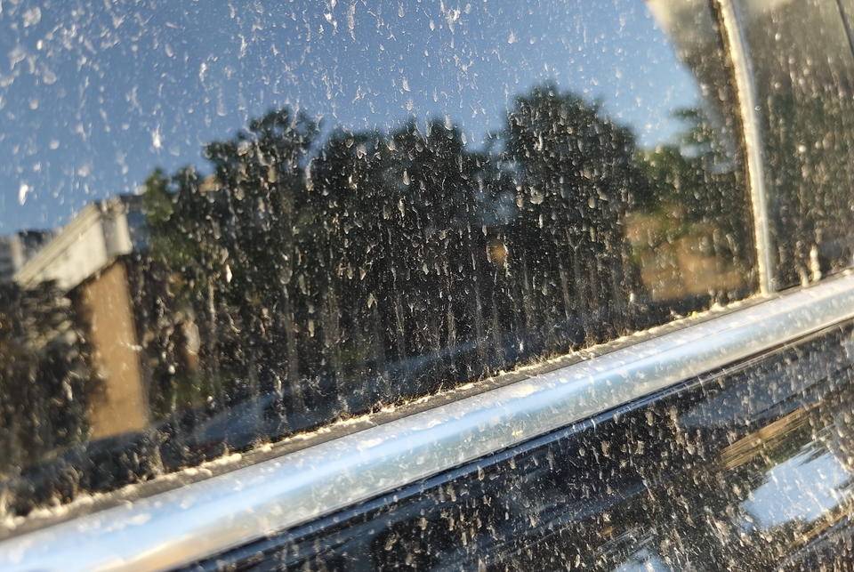 皇冠登一登二登三区别_昨晚这场暴风骤雨皇冠登一登二登三区别，让济南很多车辆变成“大花脸”