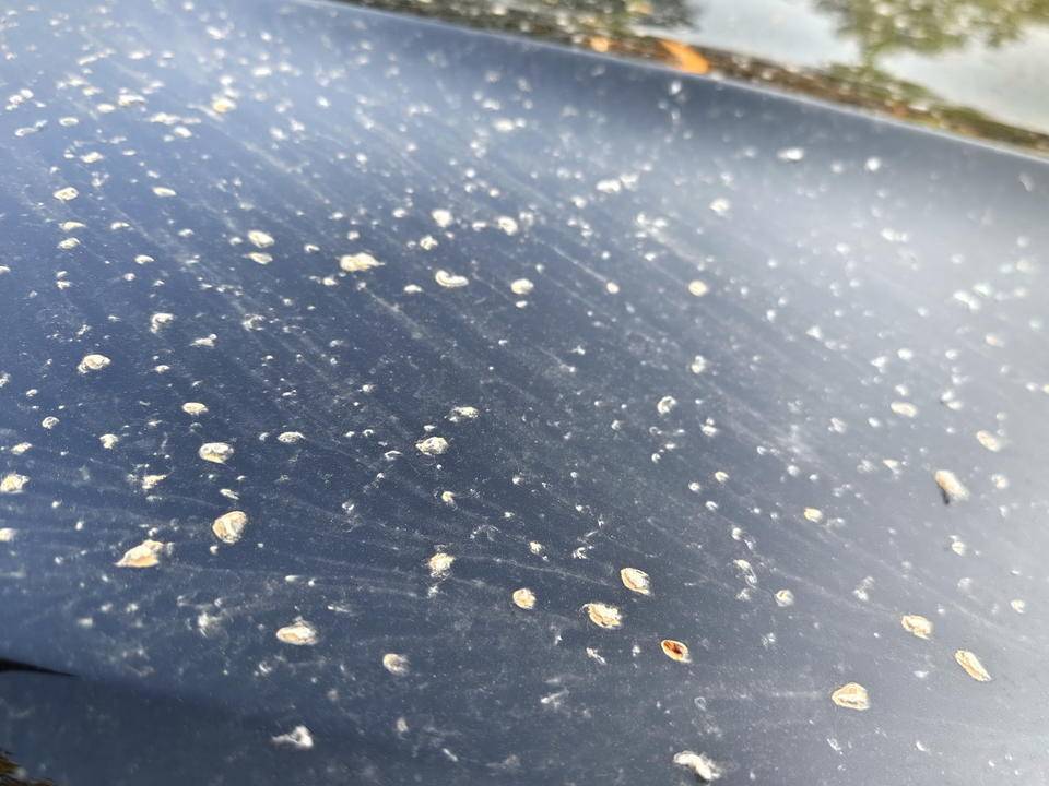 皇冠登一登二登三区别_昨晚这场暴风骤雨皇冠登一登二登三区别，让济南很多车辆变成“大花脸”