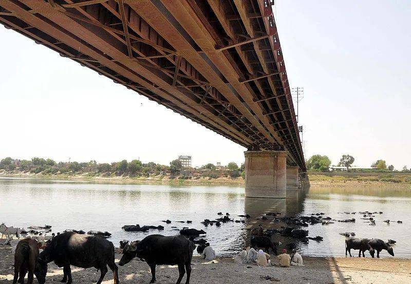 怎么注册皇冠信用代理_突然掀桌子怎么注册皇冠信用代理，印度开了危险先例