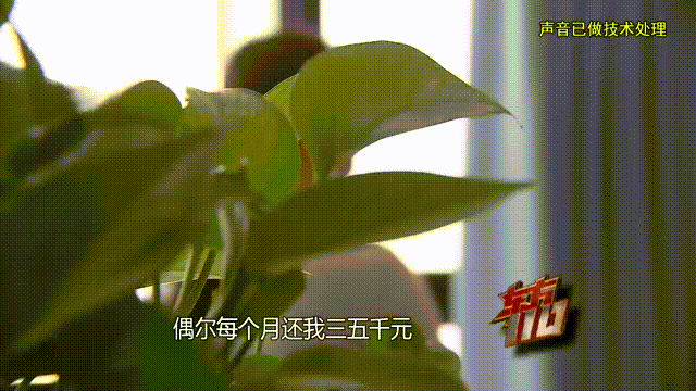 皇冠信用出租_37岁痴情女子倾尽百万泡面果腹仍坚持转账：帮皇冠信用出租他有种使命感