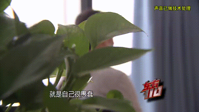 皇冠信用出租_37岁痴情女子倾尽百万泡面果腹仍坚持转账：帮皇冠信用出租他有种使命感