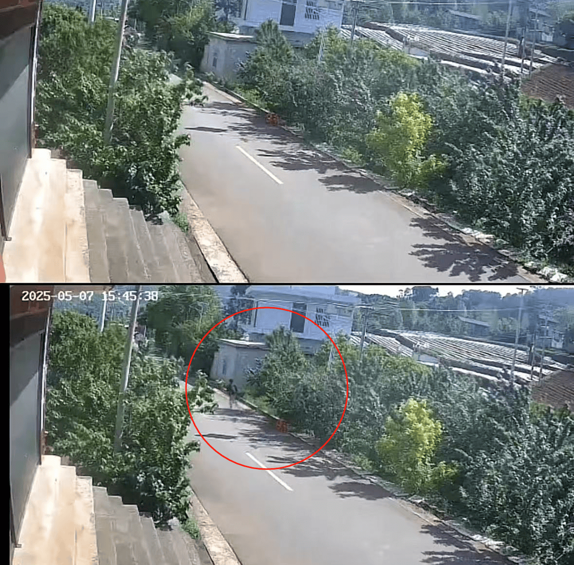 皇冠信用账号申请_老人摘十斤樱桃摆路边被人顺走皇冠信用账号申请，家属发布监控画面曝光：已报警，不要赔偿要态度