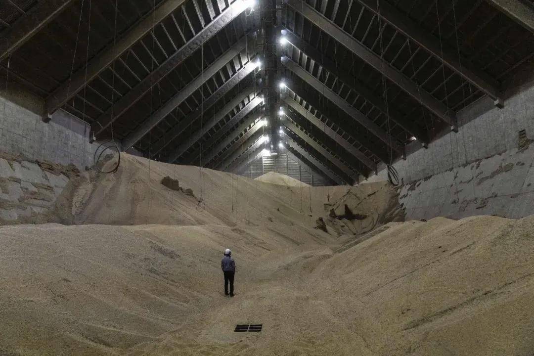 皇冠信用登2代理_“中国罕见提出大规模采购意向”