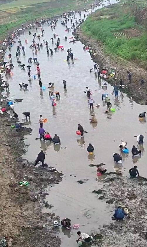皇冠信用网代理流程_河南浚县一处河道内众人捞金？当地辟谣：捞的是花甲皇冠信用网代理流程，已劝离捕捞客