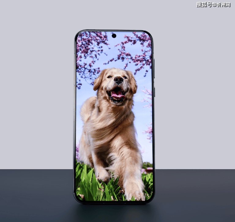 皇冠信用網开号_华为再次妥协皇冠信用網开号，麒麟9010+16GB+512GB突降2301元，不好卖还会降！