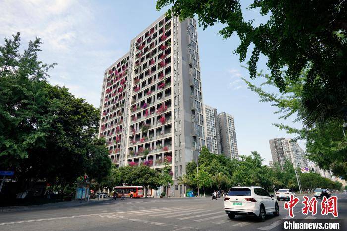 皇冠公司的代理怎么拿_成都一栋30层高居民楼被三角梅扮靓