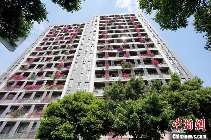 皇冠公司的代理怎么拿_成都一栋30层高居民楼被三角梅扮靓