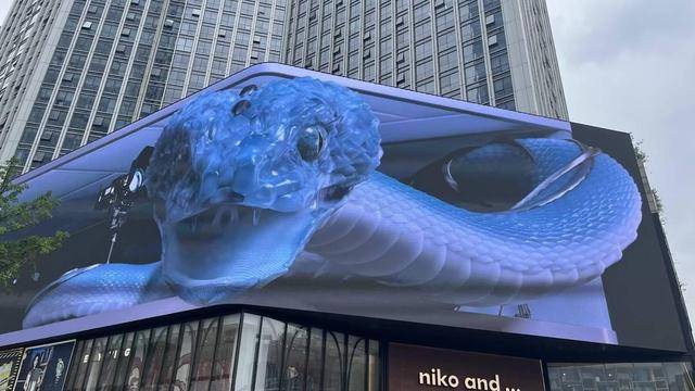 皇冠信用网代理申请_成都春熙路巨型3D蛇太逼真引争议