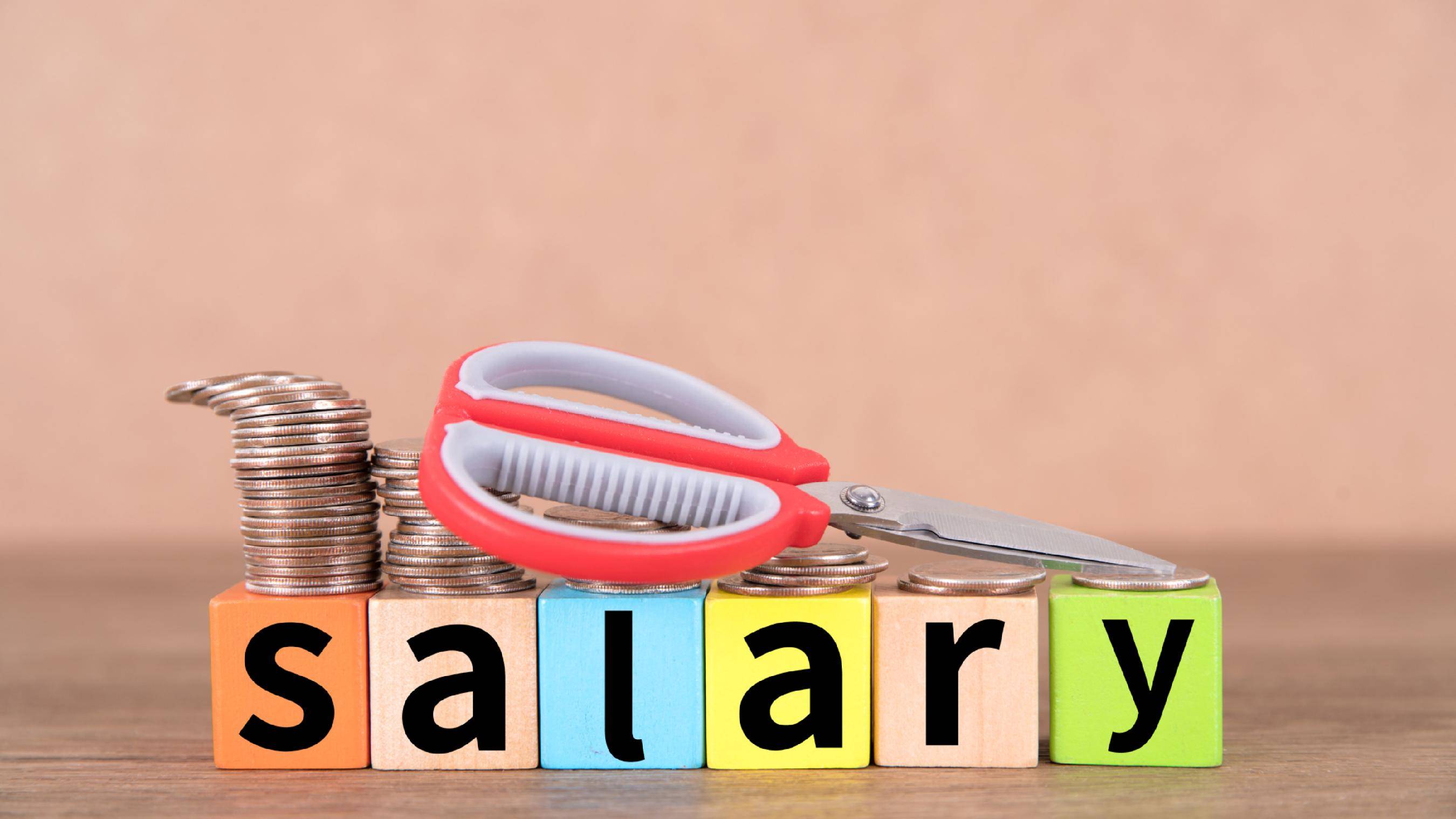 WNBA直播_私营、非私营单位平均工资差距连续十五年扩大