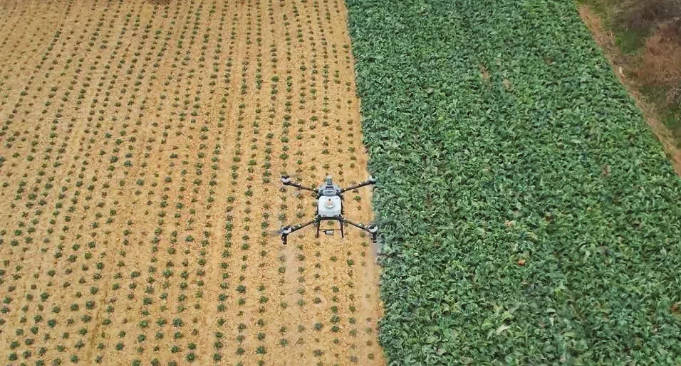 皇冠信用网出租足球_【理响中国·春江水暖鸭先知】一架“无人机”飞出低空新天地