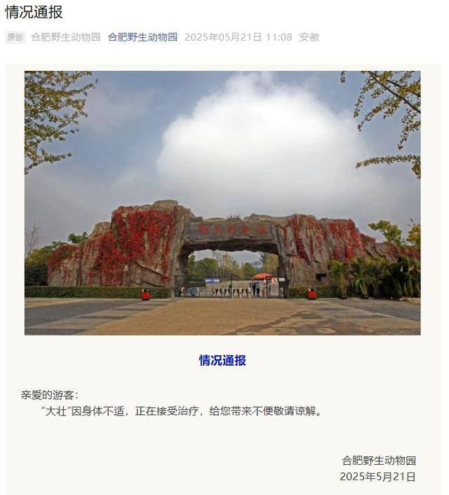 皇冠登3管理出租_网红猴“大壮”突然离世皇冠登3管理出租！曾因方脸“丑”出圈