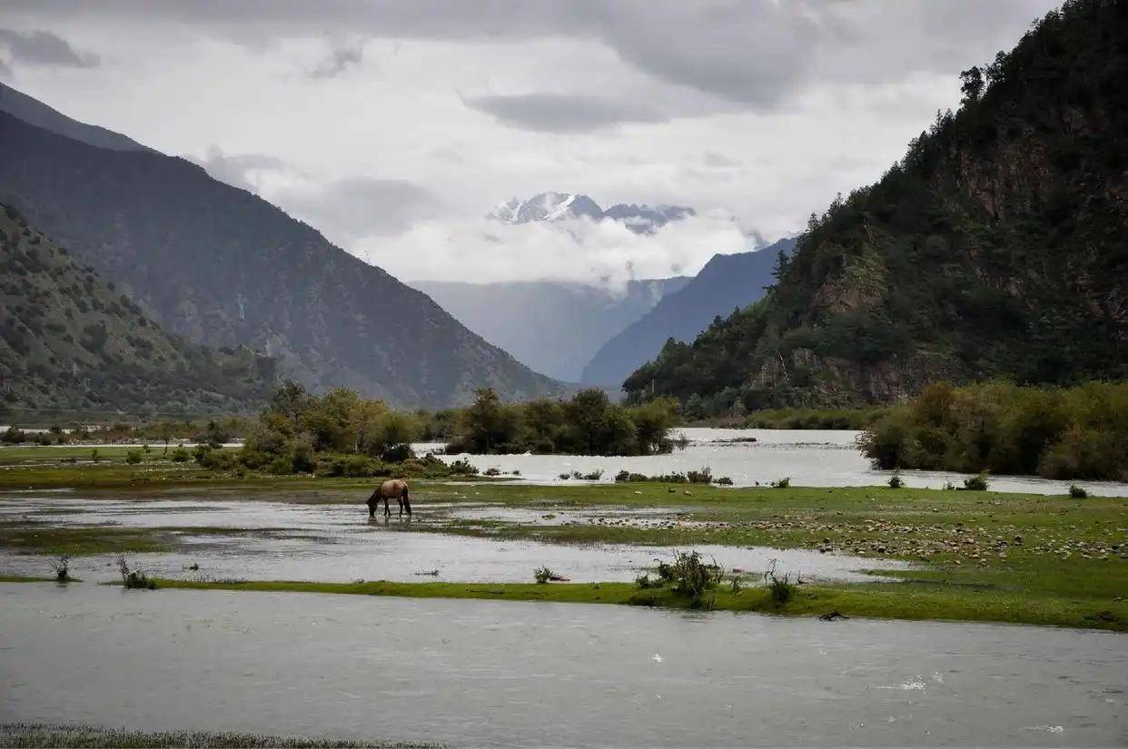 怎么开通皇冠信用网口_莫迪开始算账了怎么开通皇冠信用网口，印度反对中国宣示藏南主权，中方回应十分霸气！