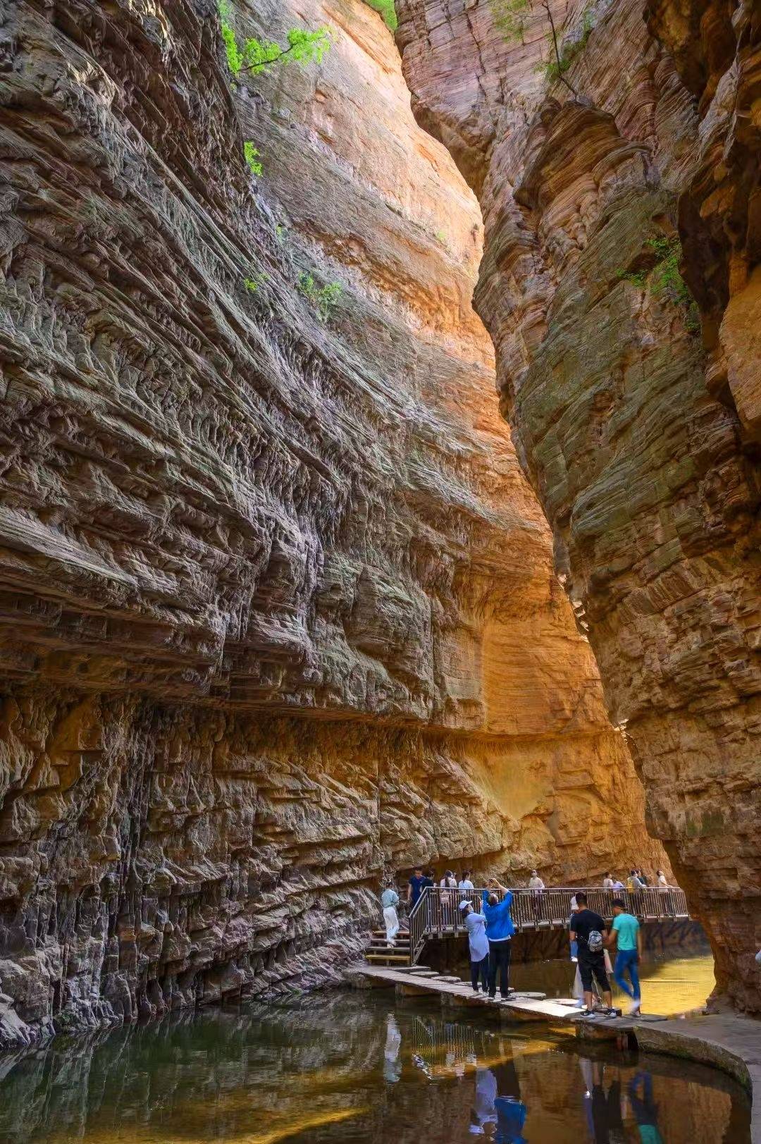 皇冠皇冠足球平台_5年近10家4A级及以上景区破产皇冠皇冠足球平台，专家：单纯靠景观很难吸引人