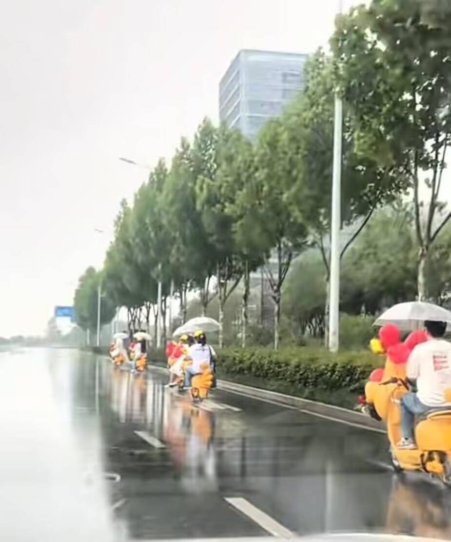 皇冠信用网代理_合肥一对新人雨中骑“鸡动车”去结婚皇冠信用网代理，新人：很浪漫，挺有氛围